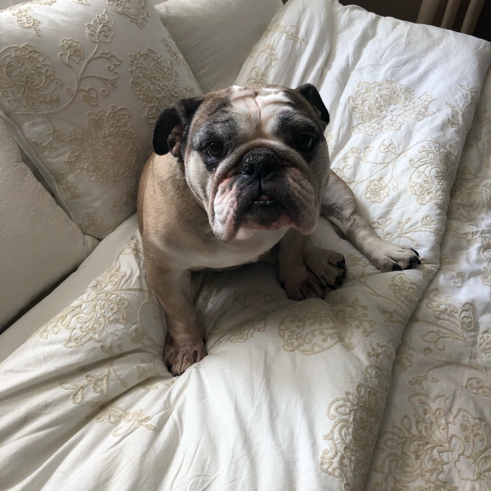 Meet your Posher, Rosenda